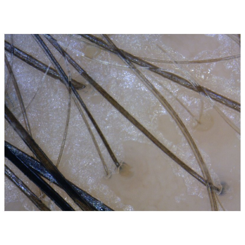 Digitální mikroskopická kamera